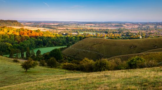 Rural crime generic 